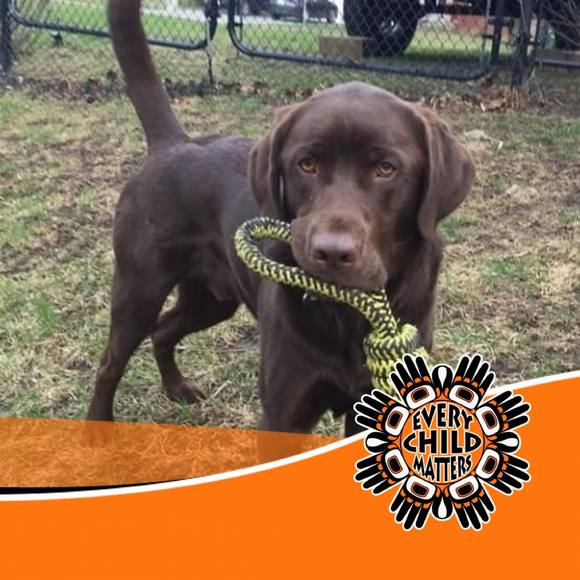 Meet your Posher, Lynn - Picture 1 of 1